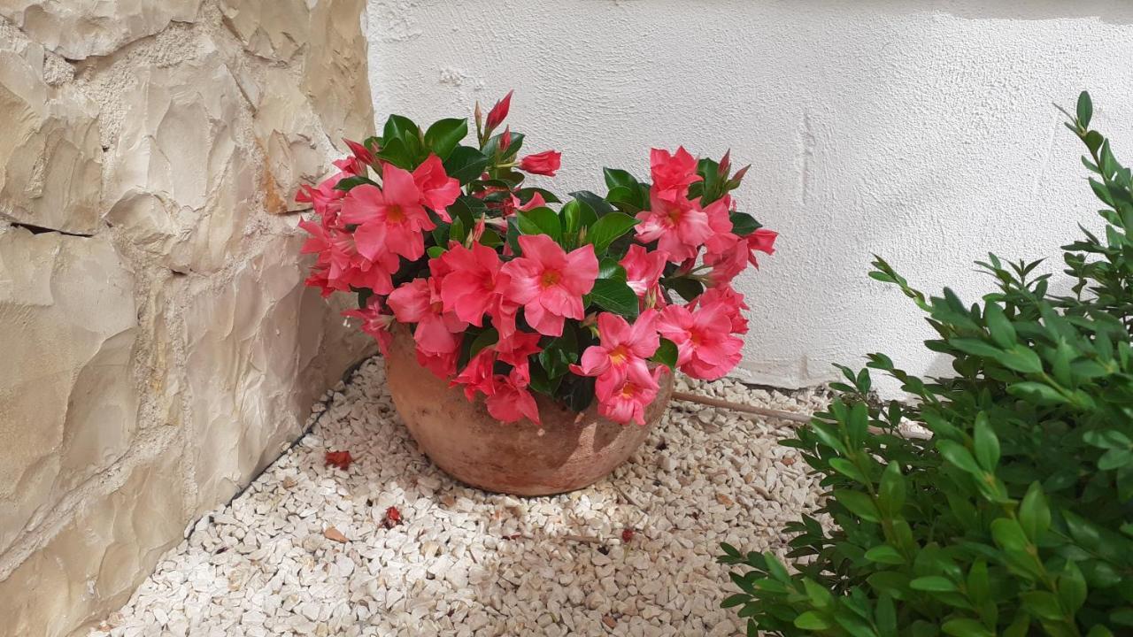 Apartman Nina Vodice Buitenkant foto